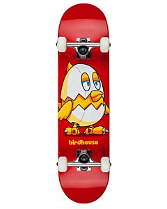 skate-completo-birdhouse.chicken-mini-7-38